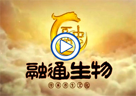 &#27431;&#23453;&#32593;&#39029;&#29256;&#30331;&#24405;&#20837;&#21475;&#45;&#27431;&#23453;&#40;&#20013;&#22269;