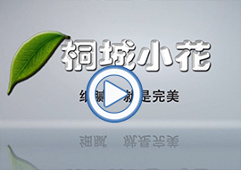 &#27431;&#23453;&#32593;&#39029;&#29256;&#30331;&#24405;&#20837;&#21475;&#45;&#27431;&#23453;&#40;&#20013;&#22269;